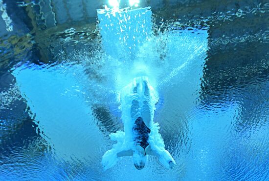 Russia BRICS Sports Games Diving Preliminary Heats