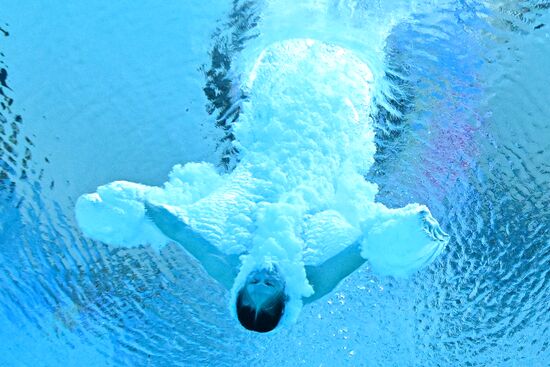 Russia BRICS Sports Games Diving Preliminary Heats