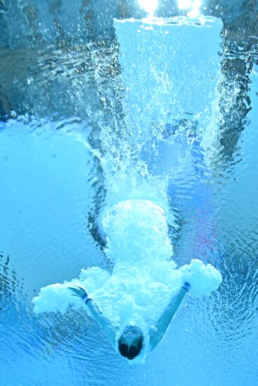 Russia BRICS Sports Games Diving Preliminary Heats