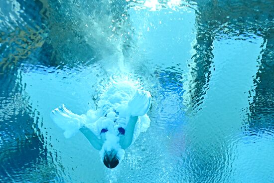 Russia BRICS Sports Games Diving Preliminary Heats