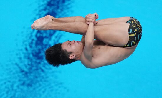 Russia BRICS Sports Games Diving Springboard 3m Men