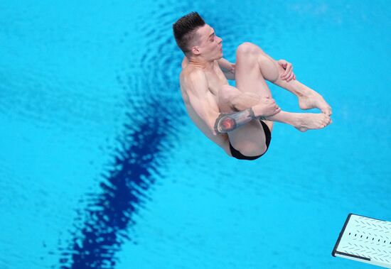 Russia BRICS Sports Games Diving Springboard 3m Men