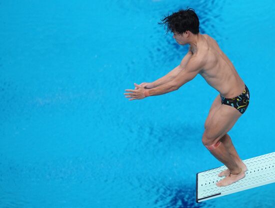 Russia BRICS Sports Games Diving Springboard 3m Men