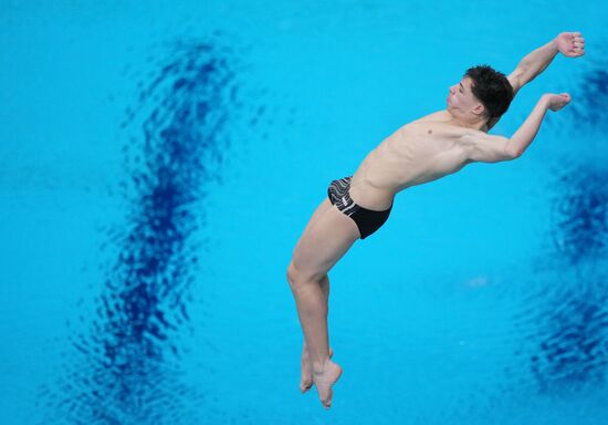 Russia BRICS Sports Games Diving Springboard 3m Men