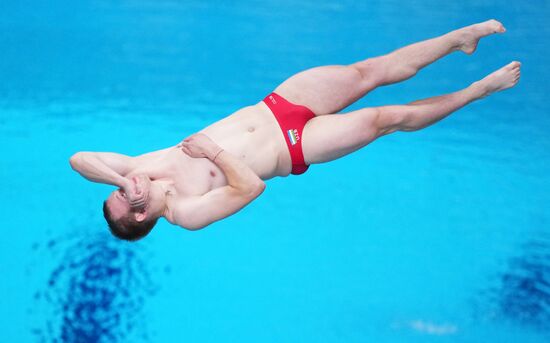 Russia BRICS Sports Games Diving Springboard 3m Men