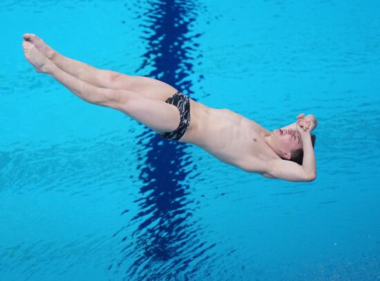 Russia BRICS Sports Games Diving Springboard 3m Men