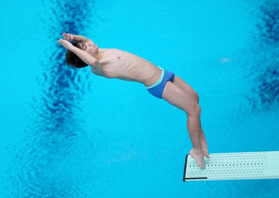 Russia BRICS Sports Games Diving Springboard 3m Men