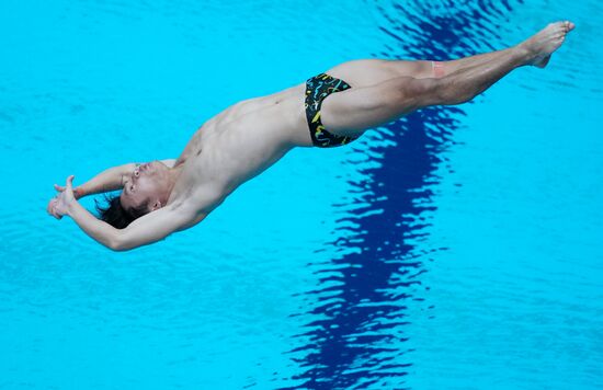 Russia BRICS Sports Games Diving Springboard 3m Men