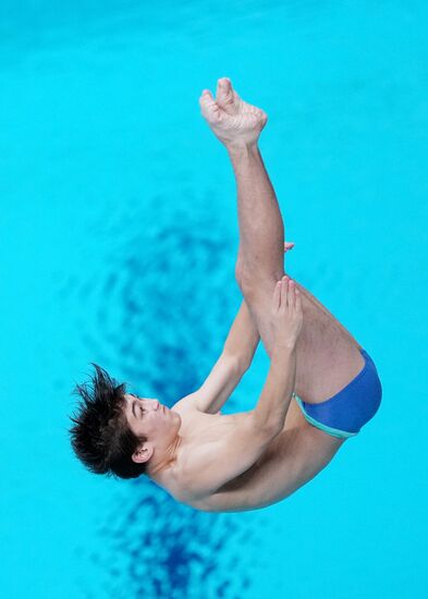 Russia BRICS Sports Games Diving Springboard 3m Men