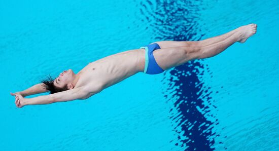 Russia BRICS Sports Games Diving Springboard 3m Men