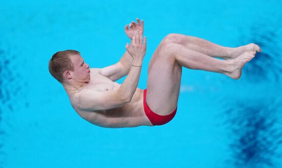 Russia BRICS Sports Games Diving Springboard 3m Men