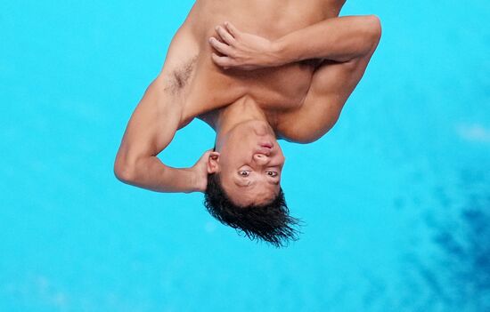 Russia BRICS Sports Games Diving Springboard 3m Men