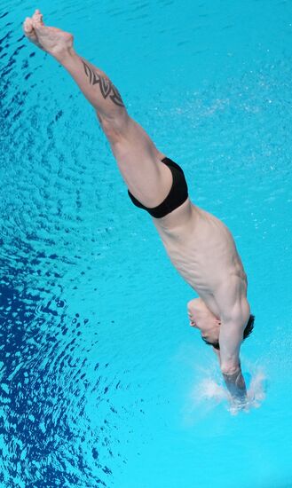 Russia BRICS Sports Games Diving Springboard 3m Men