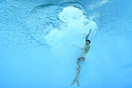 Russia BRICS Sports Games Diving Springboard 3m Men