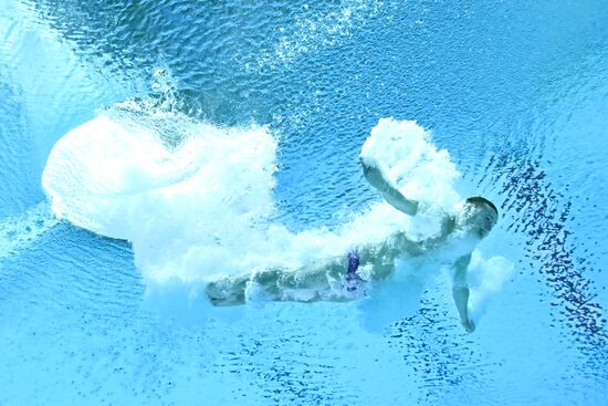 Russia BRICS Sports Games Diving Springboard 3m Men