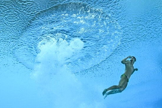 Russia BRICS Sports Games Diving Springboard 3m Men