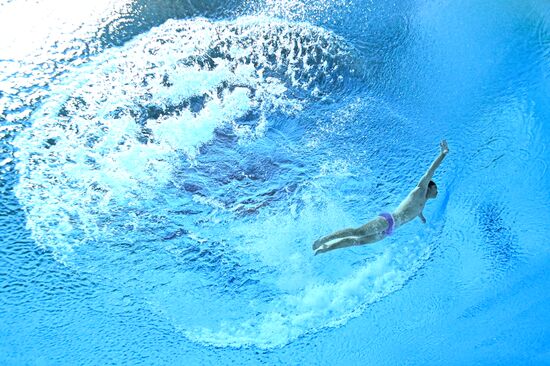 Russia BRICS Sports Games Diving Springboard 3m Men