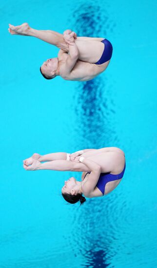 Russia BRICS Sports Games Diving Springboard 3m Synchronized Jumps Mixed