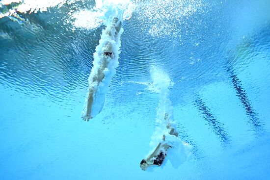 Russia BRICS Sports Games Diving Springboard 3m Synchronized Jumps Mixed