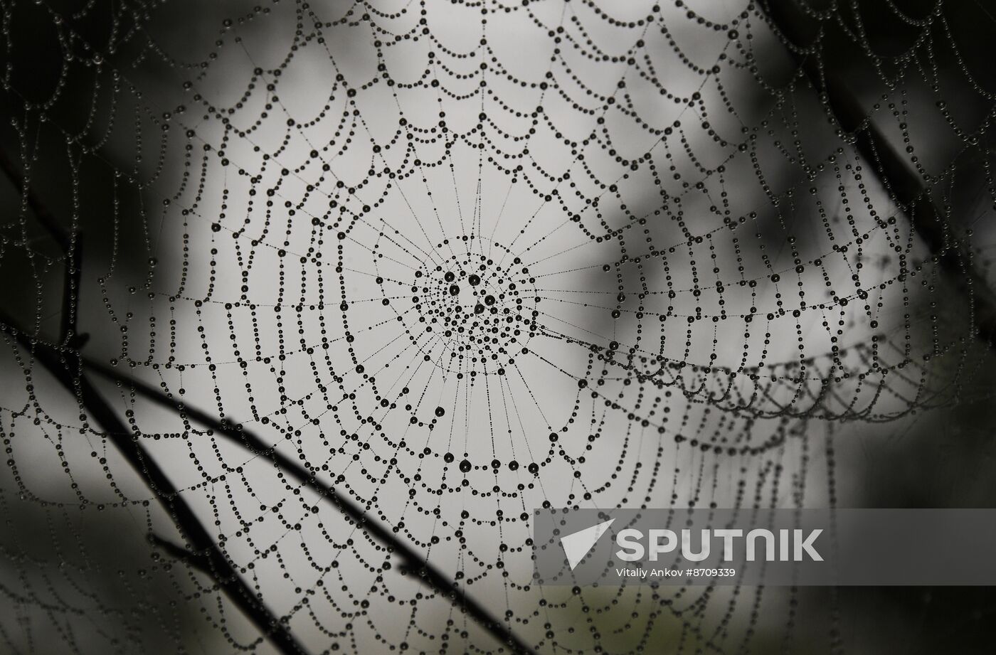 Russia Far East Tourism