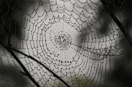 Russia Far East Tourism