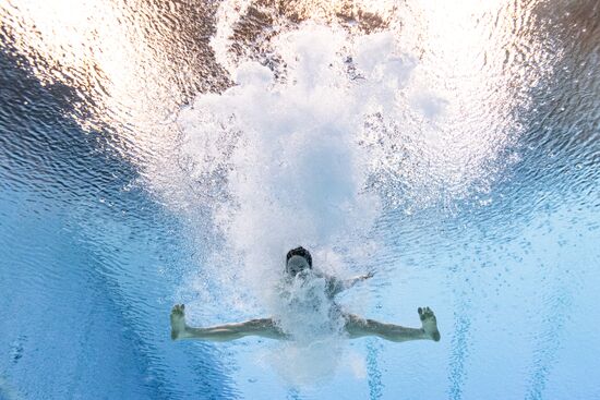 Russia BRICS Sports Diving Springboard 3m Women