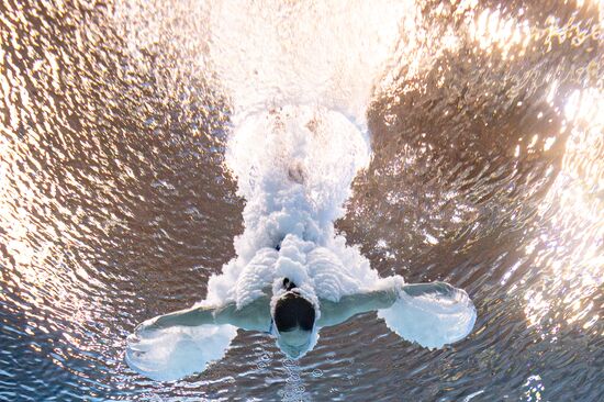 Russia BRICS Sports Diving Springboard 3m Women