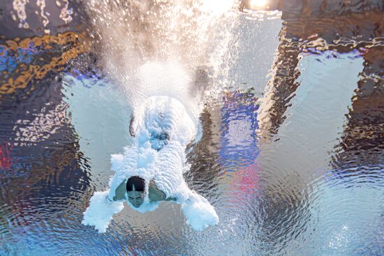 Russia BRICS Sports Diving Tower 10m Men