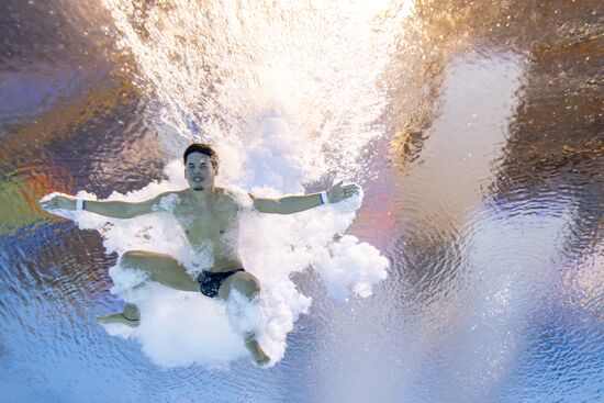 Russia BRICS Sports Diving Tower 10m Men