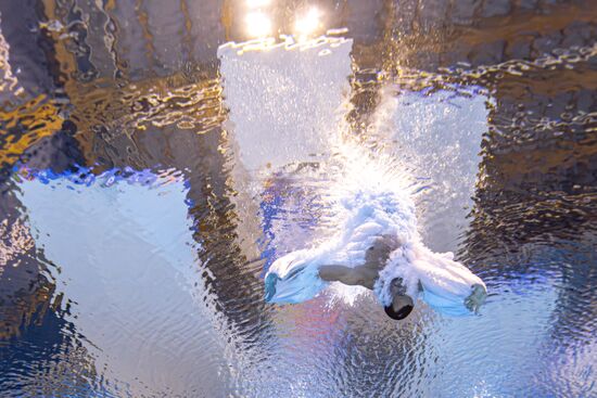 Russia BRICS Sports Diving Tower 10m Men