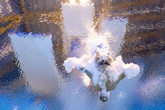 Russia BRICS Sports Diving Tower 10m Men
