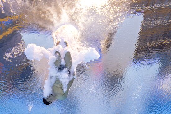 Russia BRICS Sports Diving Tower 10m Men
