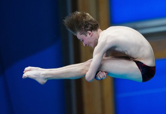 Russia BRICS Sports Diving Tower 10m Men