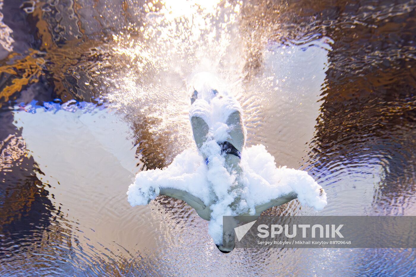 Russia BRICS Sports Diving Tower 10m Men