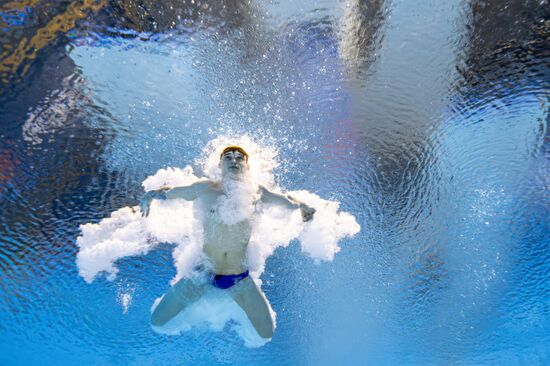 Russia BRICS Sports Diving Tower 10m Men