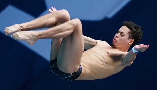 Russia BRICS Sports Diving Tower 10m Men