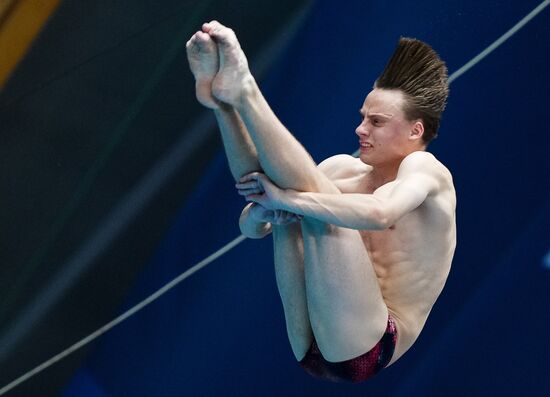 Russia BRICS Sports Diving Tower 10m Men