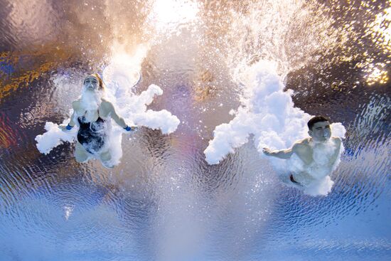 Russia BRICS Sports Diving Tower 10m Synchro Mixed
