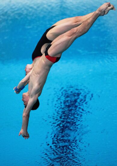 Russia BRICS Sports Diving Tower 10m Synchro Mixed