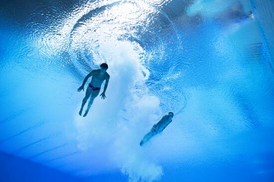 Russia BRICS Sports Games Diving Springboard 3m Synchro