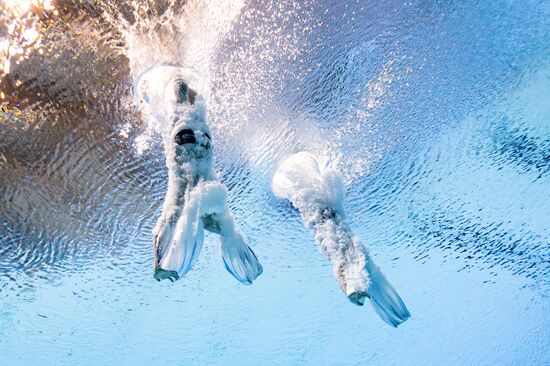 Russia BRICS Sports Games Diving Springboard 3m Synchro