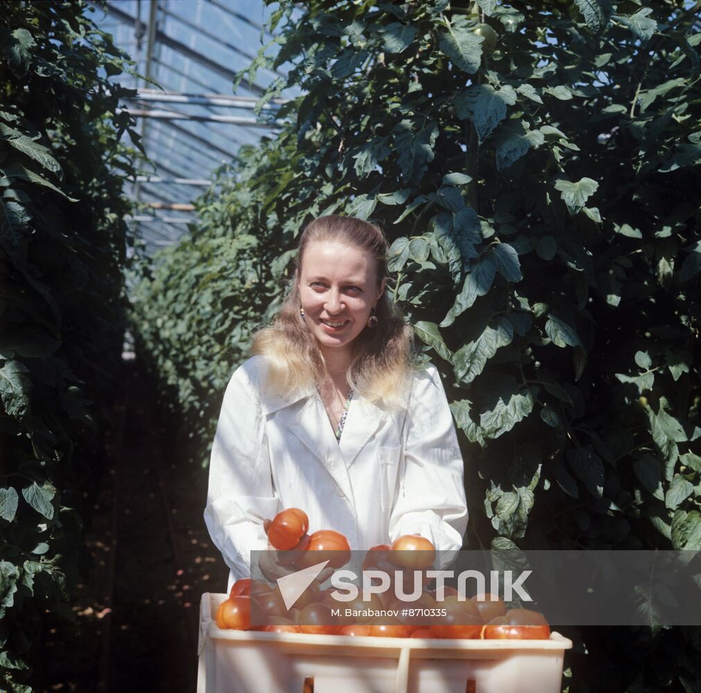 Moskovsky greenhouse state farm