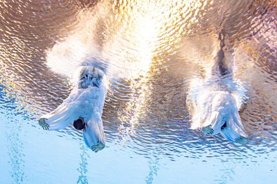 Russia BRICS Sports Games Diving Tower 10m Synchro