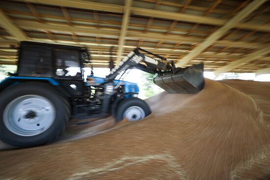 Russia Agriculture Winter Wheat Harvesting