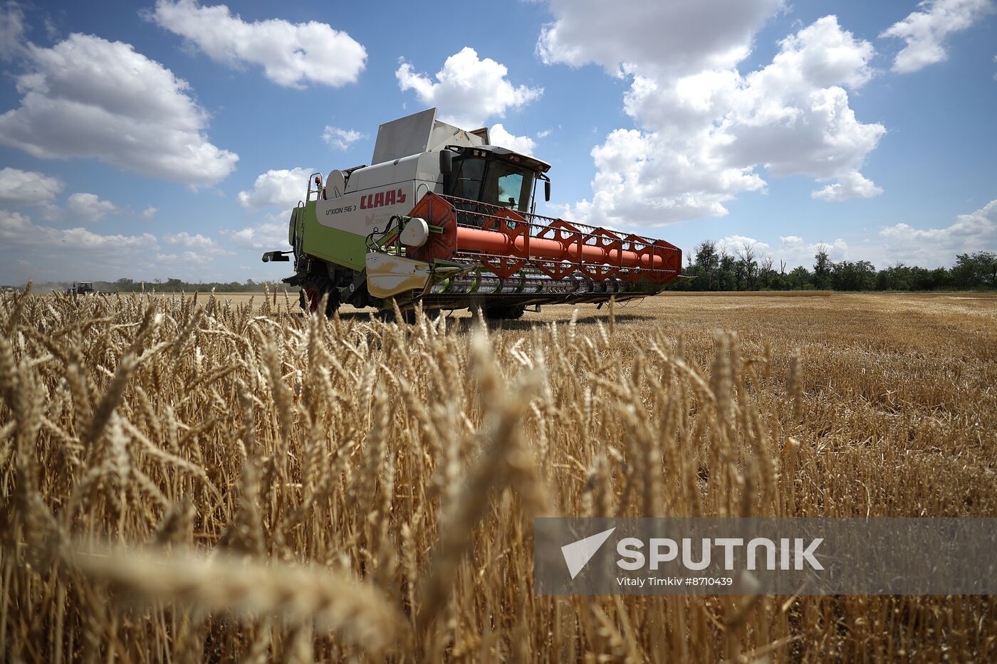 Russia Agriculture Winter Wheat Harvesting