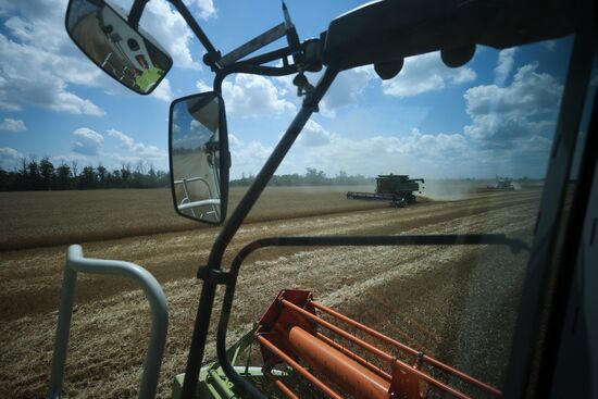 Russia Agriculture Winter Wheat Harvesting