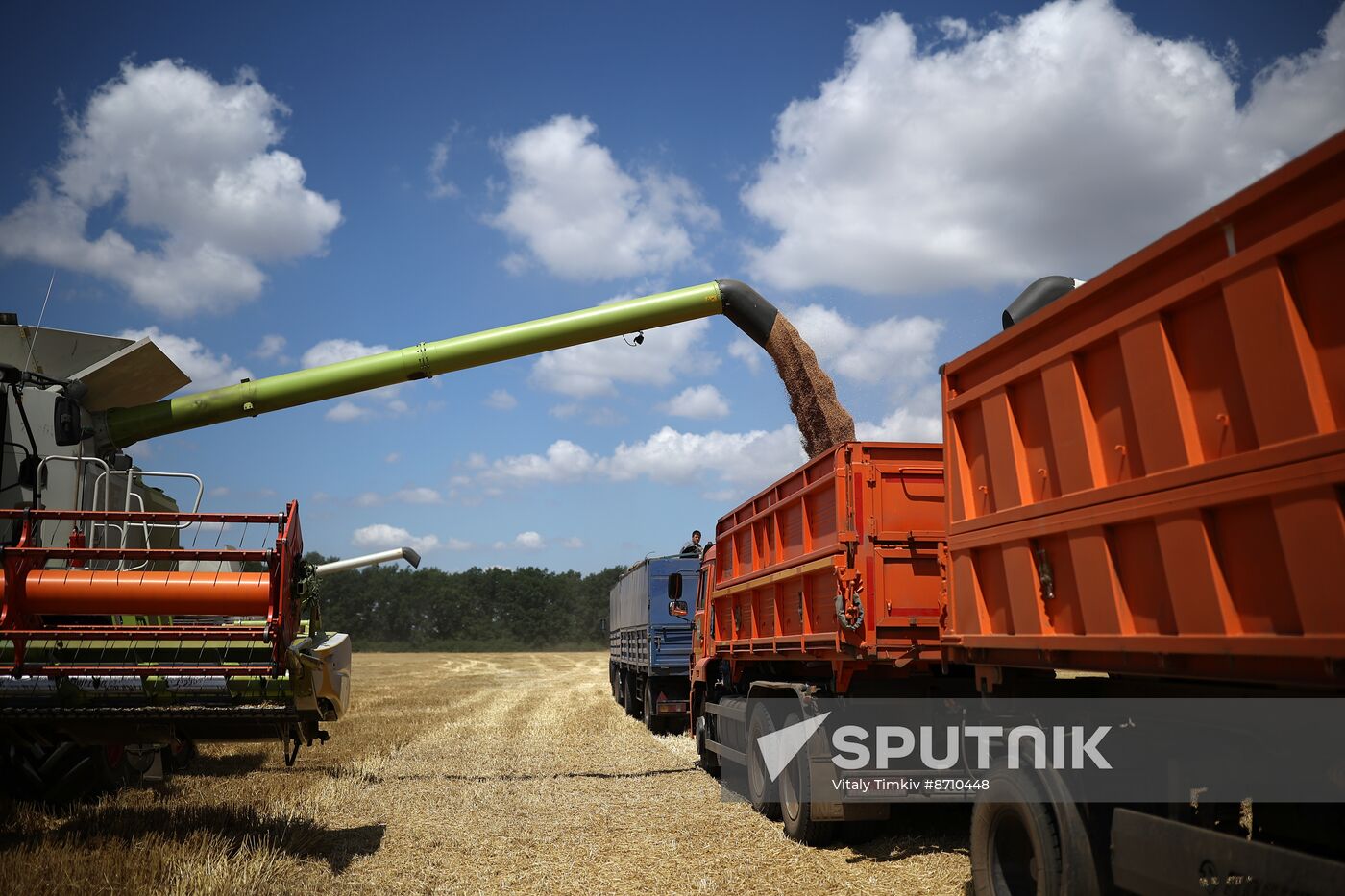 Russia Agriculture Winter Wheat Harvesting