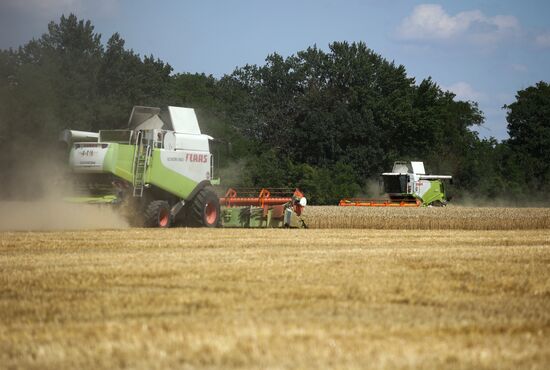 Russia Agriculture Winter Wheat Harvesting