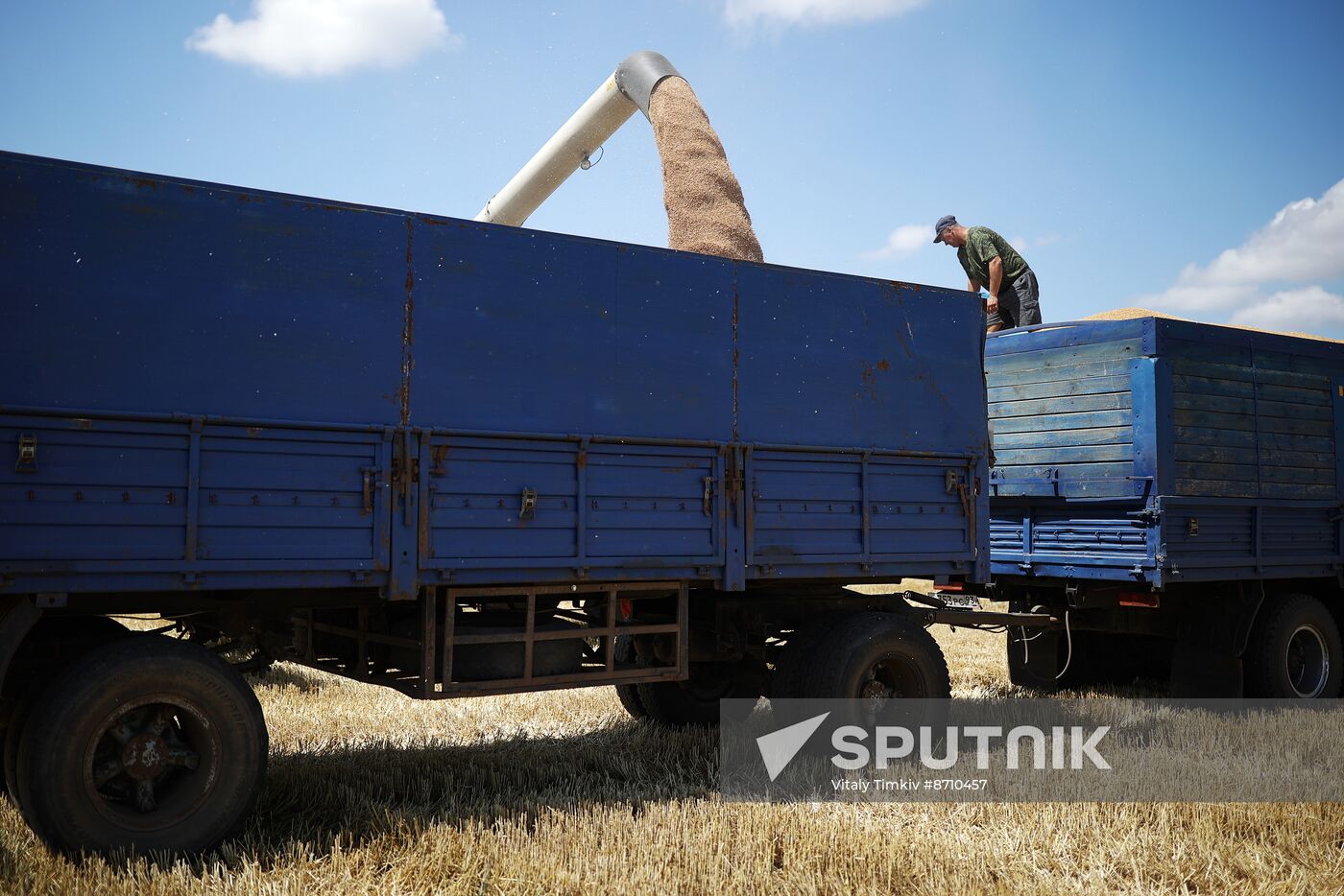 Russia Agriculture Winter Wheat Harvesting