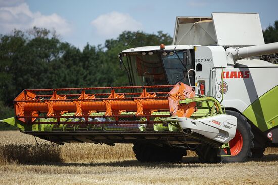 Russia Agriculture Winter Wheat Harvesting